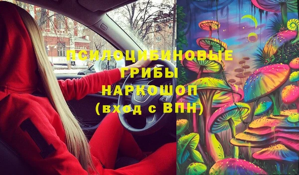 первитин Заводоуковск