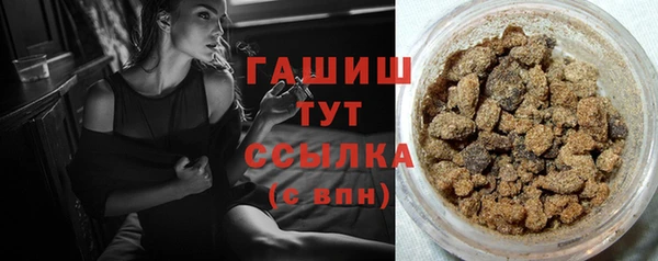 индика Елизово