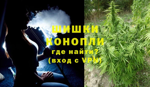 первитин Заводоуковск