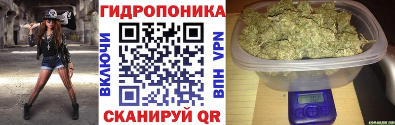 Бошки Шишки сатива  Купить где  Костерёво 